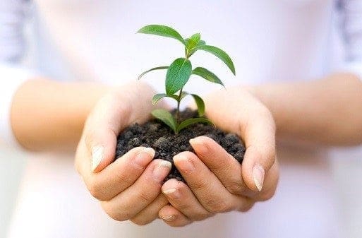 Growing Your Business