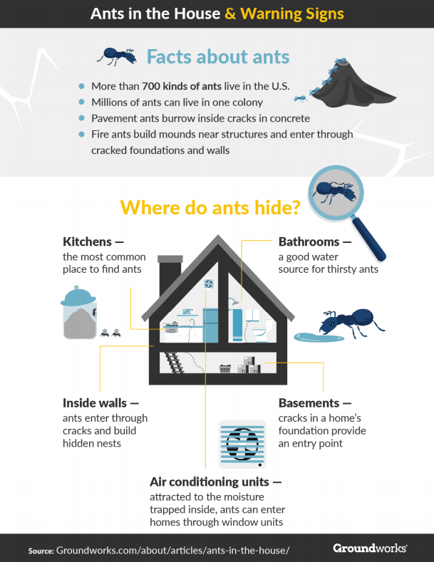 Infographic highlighting warning signs of ants in the house for working women returners.