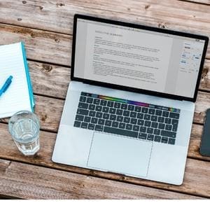 A blogger achieves success with interesting content.